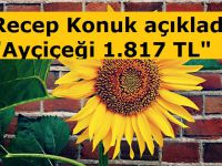 Yüzde 50 yağ oranlı ayçiçeği 1.817 TL