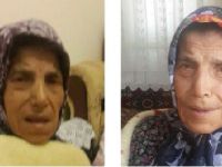 Navruz Altan vefat etti