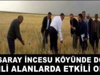 Aksaray İncesu'da dolu ekili alanlarda etkili oldu