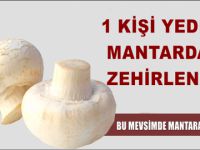 Eskil'de mantardan zehirlenen vatandaşın durumu ağır!