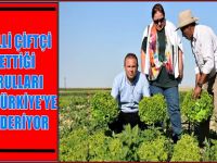 Eskil Beşağıl'dan Tüm Türkiye'ye!