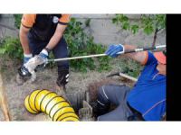 Kuyuda Mahsur Kalan Kedi AFAD Ekiplerince Kurtarıldı