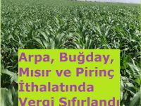 Arpa, Buğday, Mısır ve Pirinç İthalatında Vergi Sıfırlandı