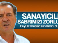 Süt üreticisinin isyanı!