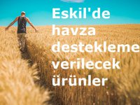 Eskil'de havza desteklemesi verilecek ürünler