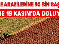Hazine arazilerine müracaat için son tarih: 19 Kasım