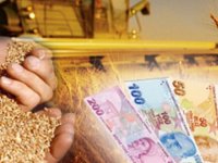 Dane mısır, hububat ve yem destekleme ödemeleri başladı!