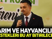 Tarım ve hayvancılık destekleri bu ay ödenecek