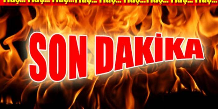 Nereye Böyle! Vatandaşın gece ekinini biçtiler!