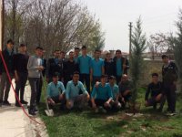 Eskil Anadolu İmam Hatip Lisesi öğrencileri fidan dikti