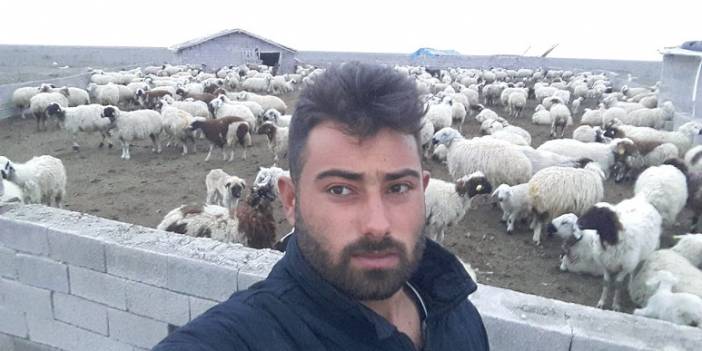 Eskilli vatandaşa üst üste 2 şok! Hem koyunları çalındı, hem de ceza ödeyecek!