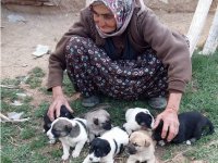 Yoğun bakım ünitesindeki "Merhamet Anne" sevenlerinden dua bekliyor