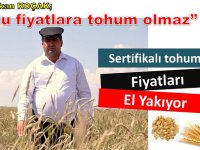 Sertifikalı tohum fiyatları el yakıyor!