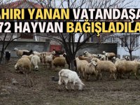 240 hayvanı telef olan üreticiye 372 havyan topladılar