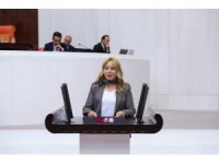 Milletvekili Esin Kara okullardaki ölümleri meclis gündemine taşıdı