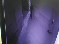 Yardım kumbarasını çalan çocuklar kamerada