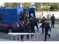 Hayvan hırsızları adliyeye sevk edildi