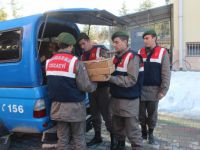 Beyşehir'de Yasa Dışı Üretim Tüfekler Ele Geçirildi!