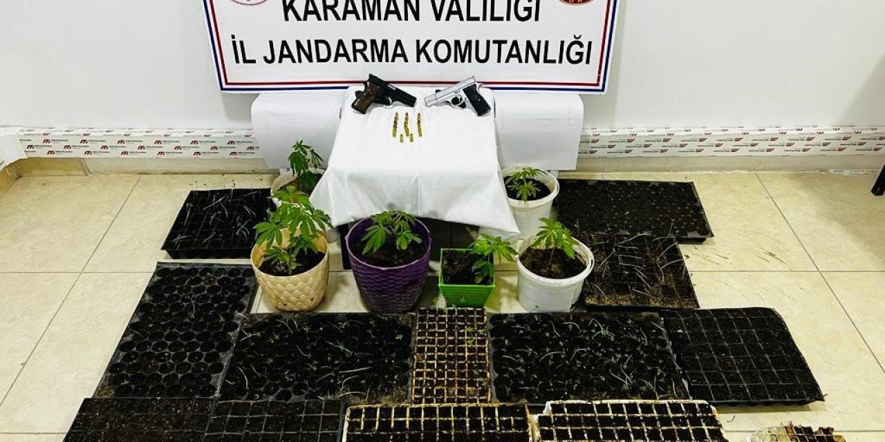 Karaman’da fide tüplerinde ekilmiş kenevir ele geçirildi