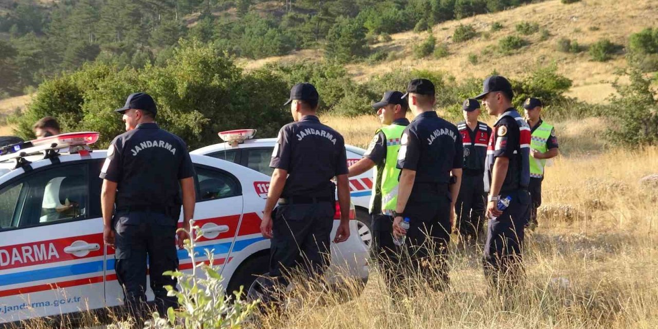 Hırsızlar ahırdaki 25 büyükbaş hayvanı çaldı