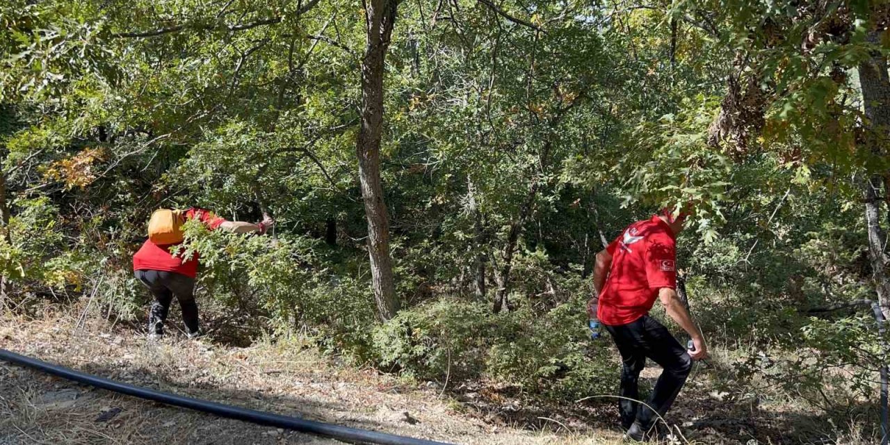 12 yıl önce öldürüldüğü ortaya çıkan kadının cesedini bulmak için çalışma başlatıldı