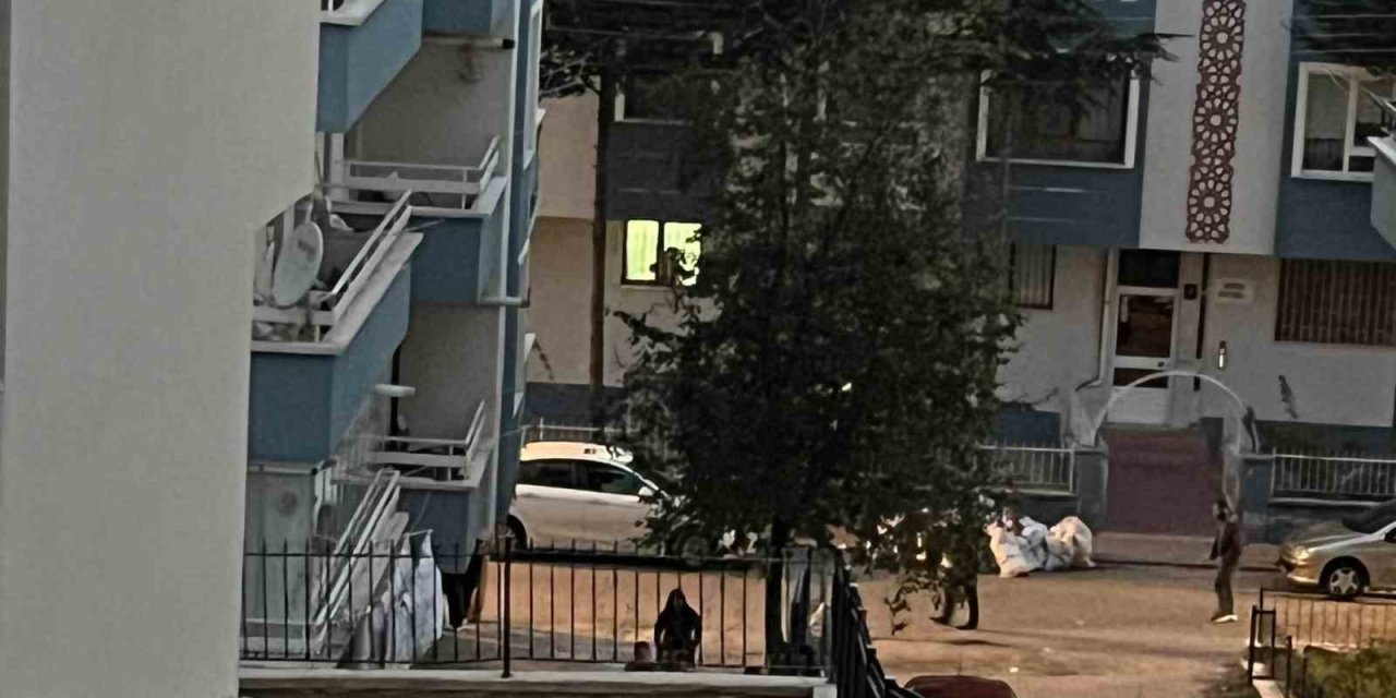 Annesini bıçakla öldürdükten sonra intihar etti