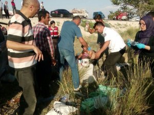 Tarım işçilerini taşıyan kamyonet takla attı: 2 ölü, 7 yaralı