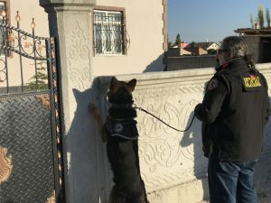Sokak satıcılarına uyuşturucu operasyonu: 30 gözaltı
