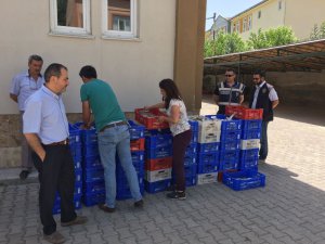 Beyşehir Gölü’nde yavru balık operasyonu