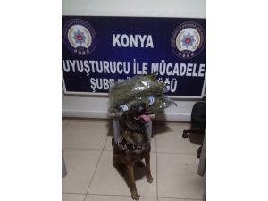 Durdurulan otomobilde 5 kilogram esrar bulundu