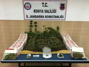 Konya’da jandarmadan uyuşturucu operasyonu