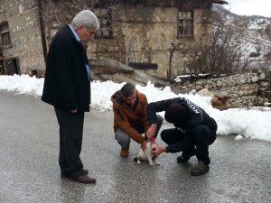 Kafası konserve kutusuna sıkışan kedi kurtarıldı