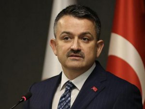 Pakdemirli''Amasya taşovada yaptığım konuşma çarpıtıldı''