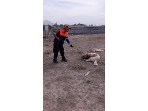 Boğazına ip dolanan ve saldırganlaşan köpek AFAD ekiplerince kurtarıldı