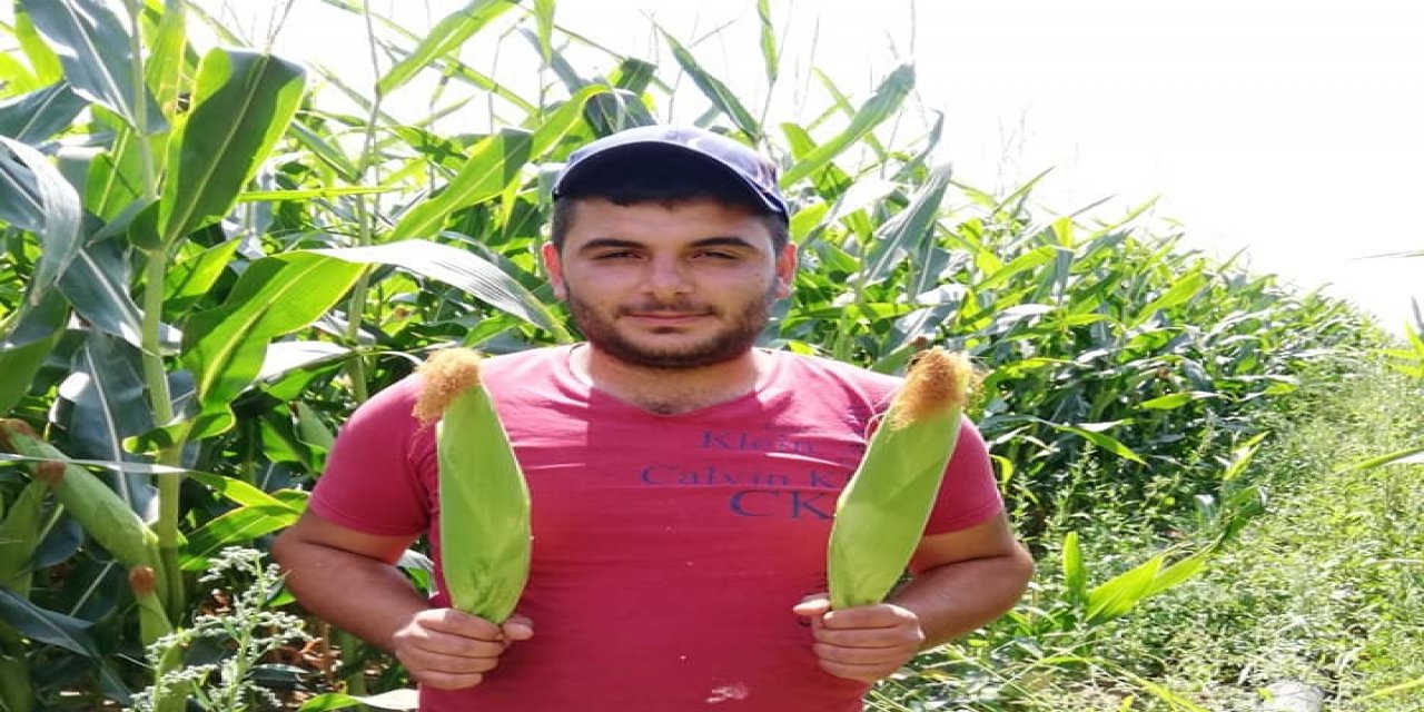 Mısır üreticisine önemli yaprak gübresi uyarısı! Kar edeyim derken zarar etmeyin!