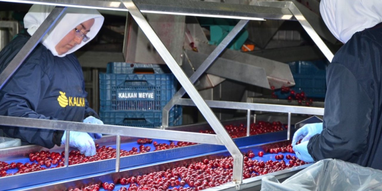 Kırsal Kalkınma Yatırımlarına Son 2 Yılda 855 Milyon TL Hibe Verildi