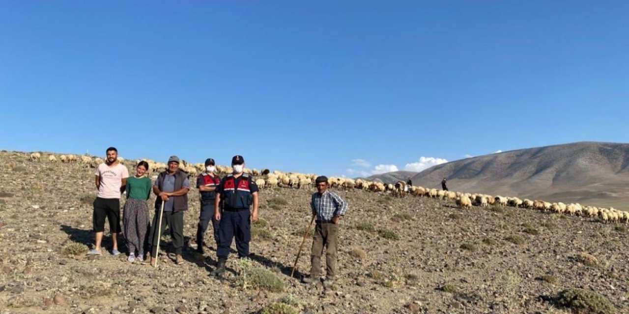 Kaybolan 300 koyunluk sürüyü jandarma droneyle buldu