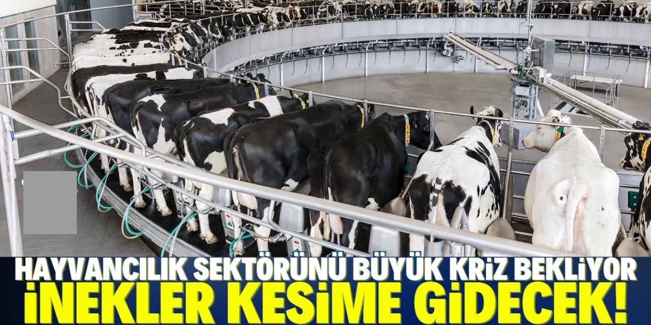 Üreticilerden tepki