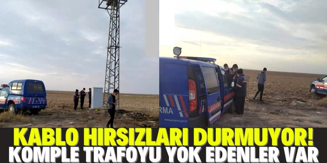 Kablo hırsızları çiftçinin kabusu oldu