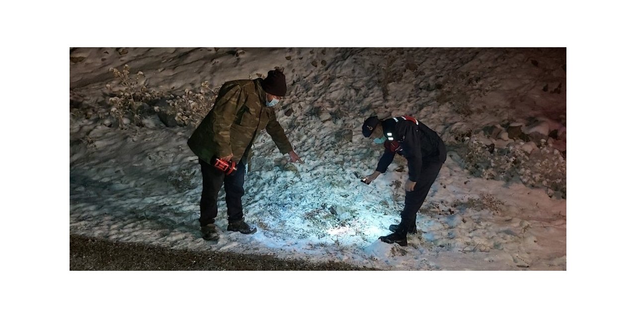 Başkent’te kurtlar dokuz koyunu telef etti