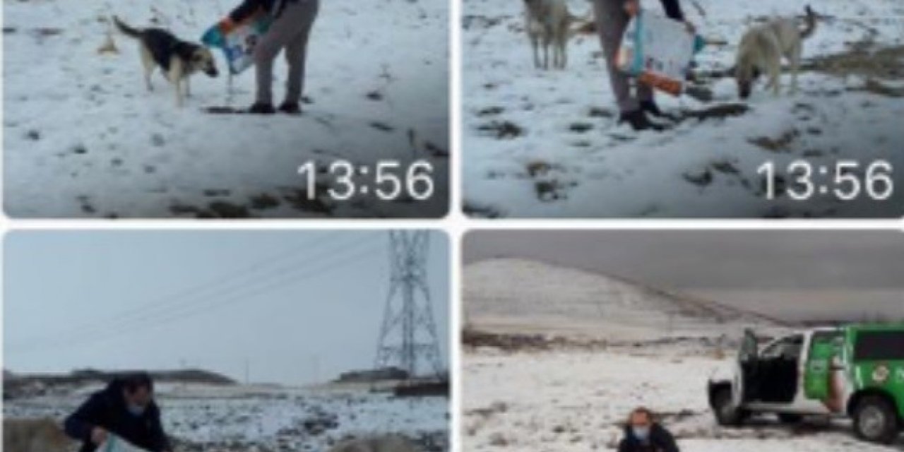 Kayseri polisinden hayvanlara yem desteği