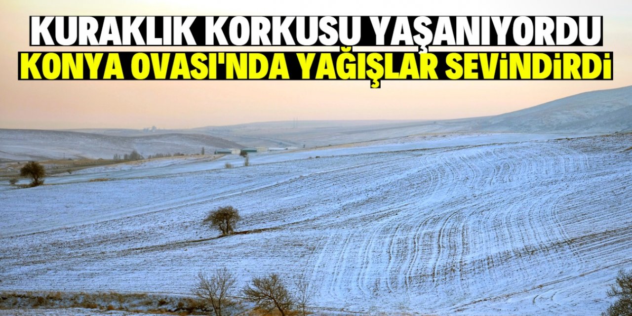 Konya Ovası'nda son yağışlar çiftçiyi sevindirdi! Gübre fiyatları üzdü!