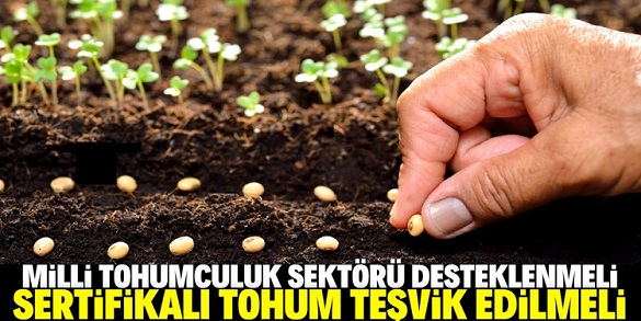 Tohumculuk stratejik bir sektör haline geldi!