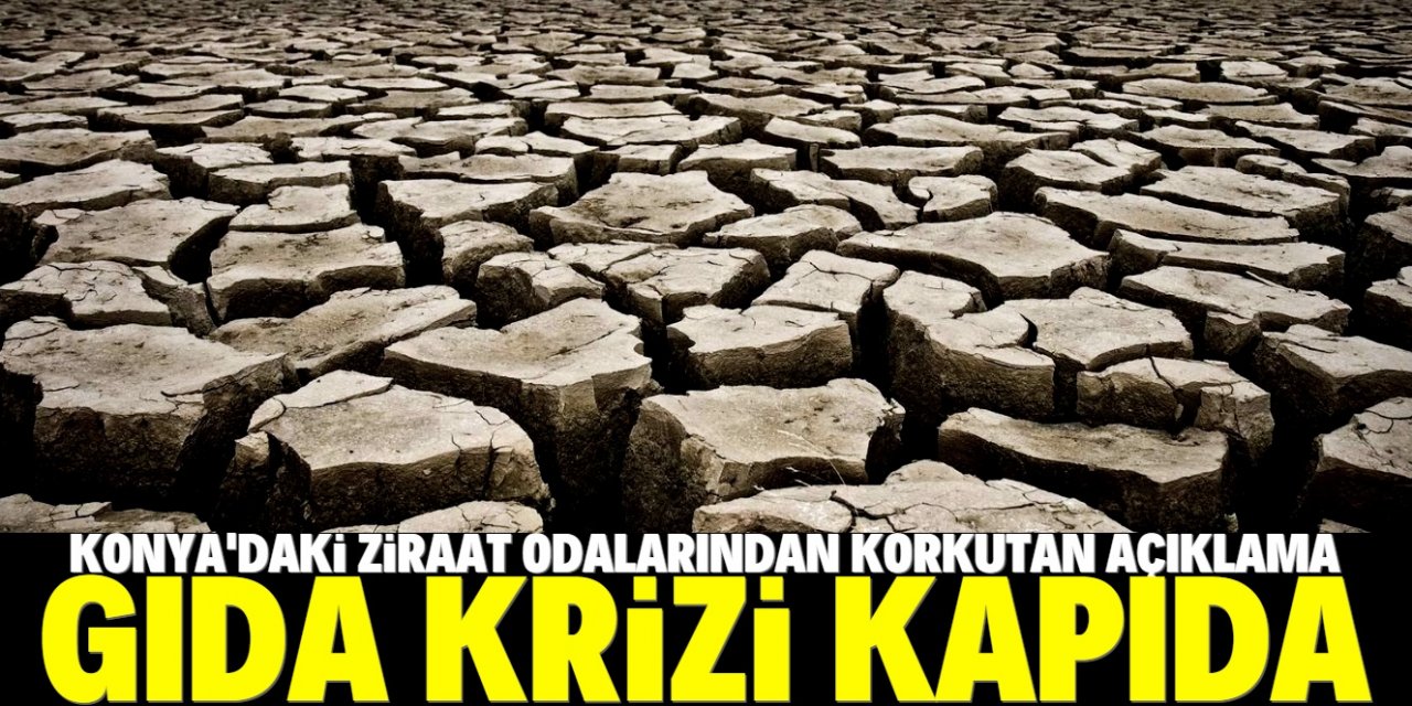 Korkutan uyarı, "Kuraklık devam ederse gıda krizi yaşanır"