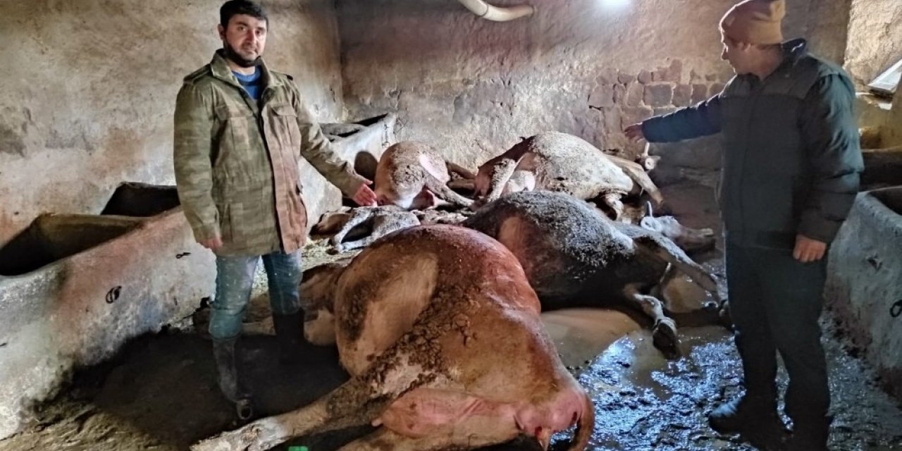 Ahırda çıkan yangında 12 büyükbaş hayvan telef oldu