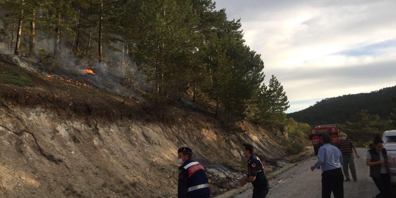 Seyitgazi’deki orman yangınında 2 dönüm alan zarar gördü