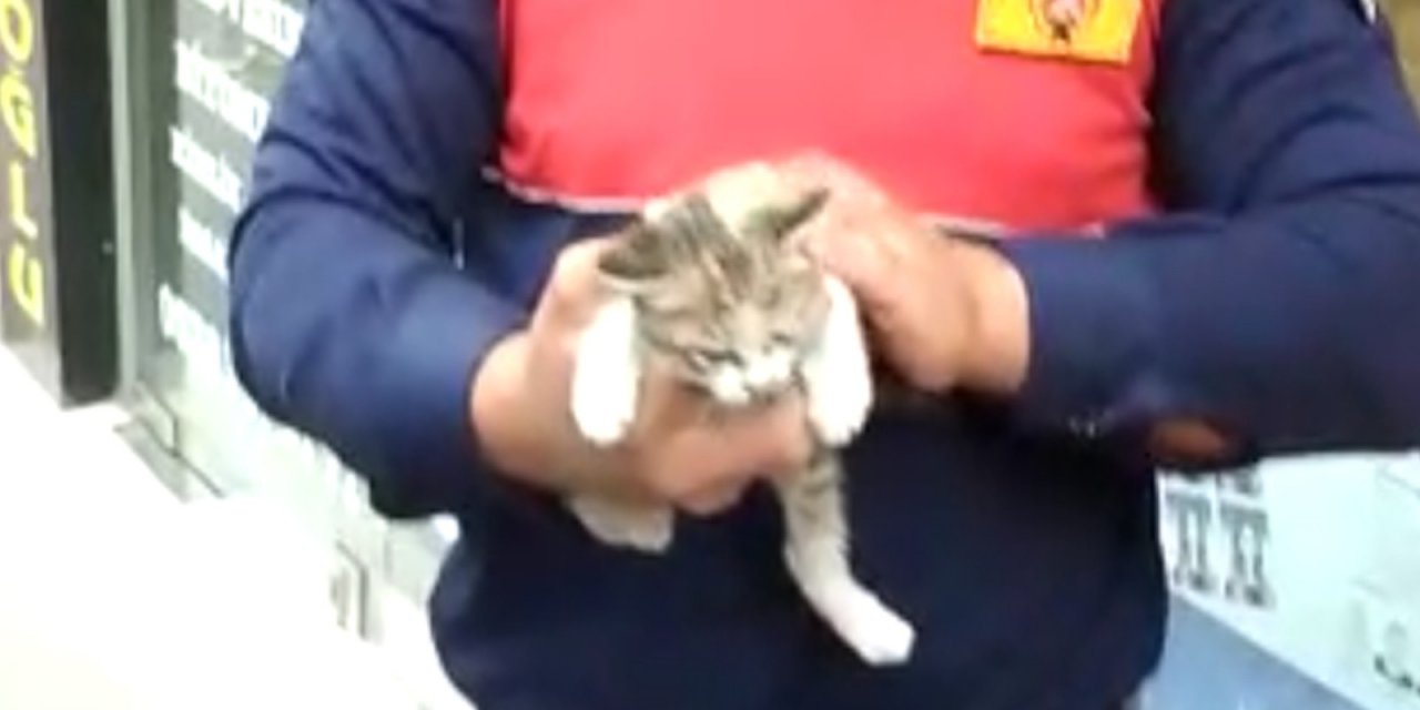 Reklam tabelasının içinden çıkamayan yavru kedi kurtarıldı