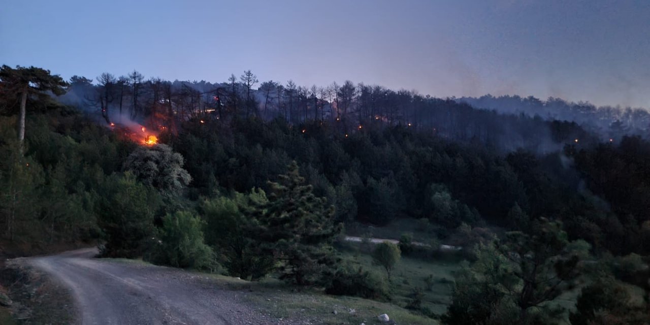 Eskişehir’de orman yangını