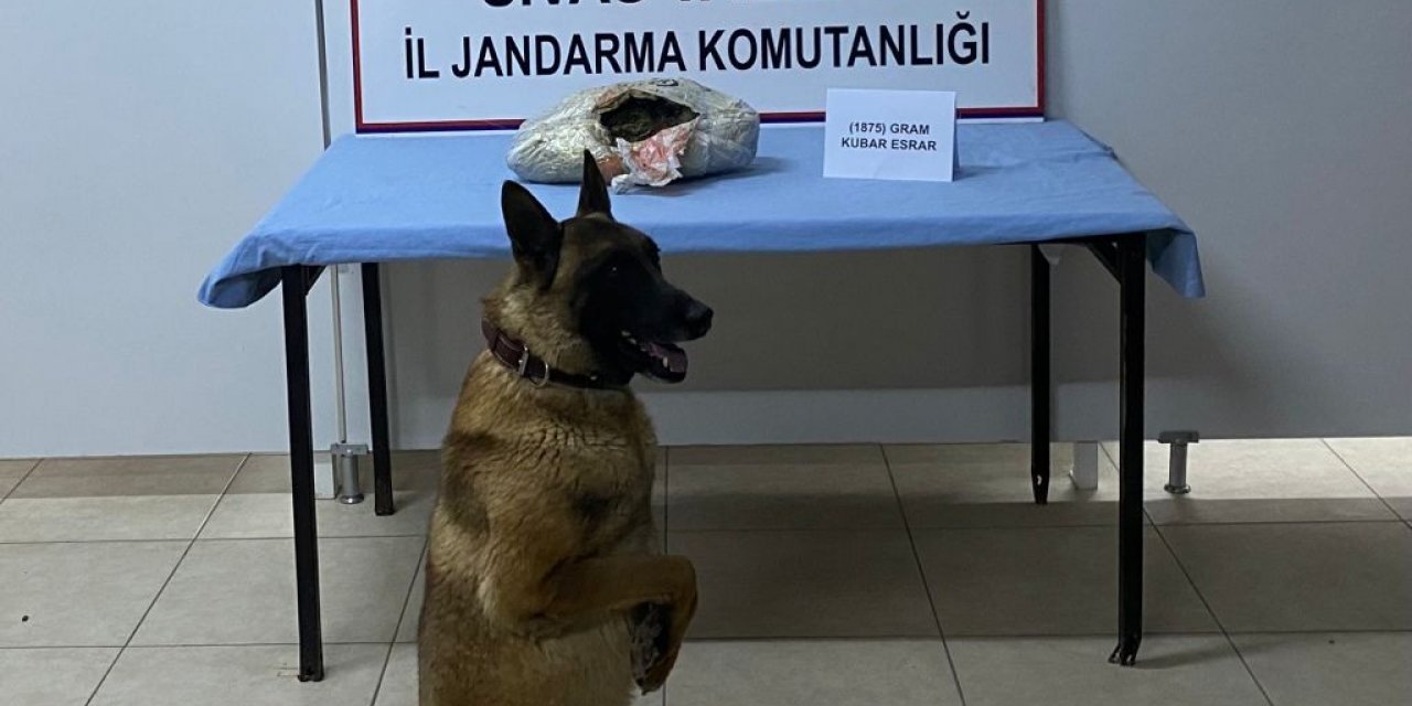Buda yolcu beraberinde uyuşturucu