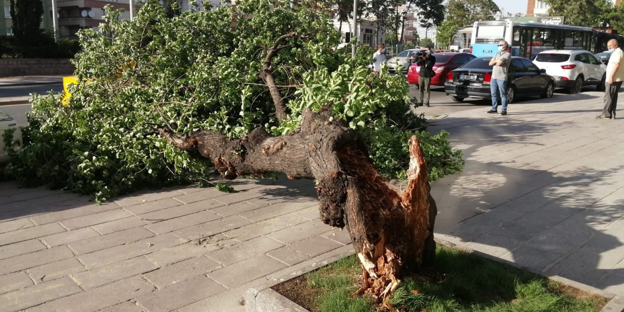 Başkent’te sert esen rüzgardan dolayı devrilen ağaç iki aracın üzerine yıkıldı